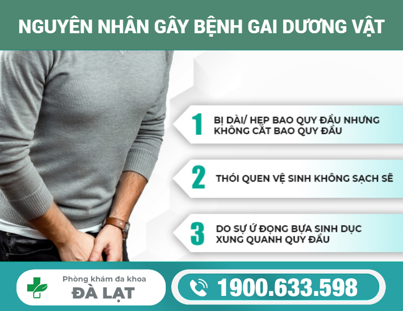 Hình ảnh minh họa